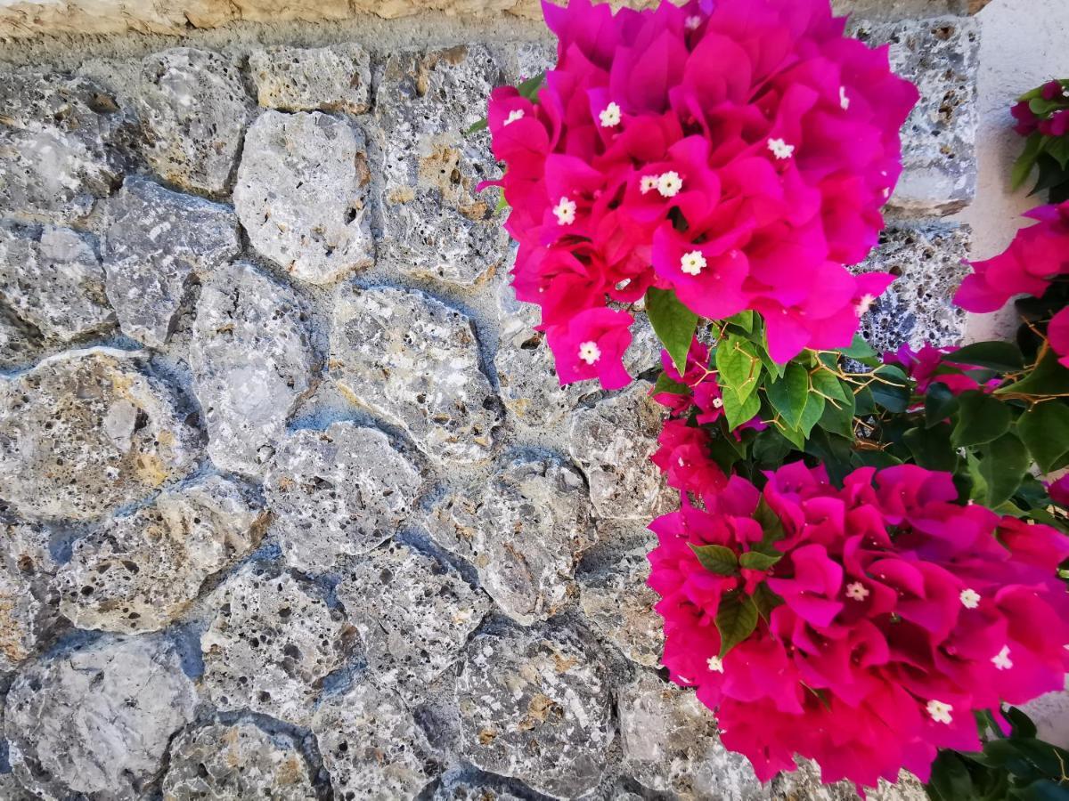 The Mathraki Studios (Adults Only) Arillas  Exterior foto